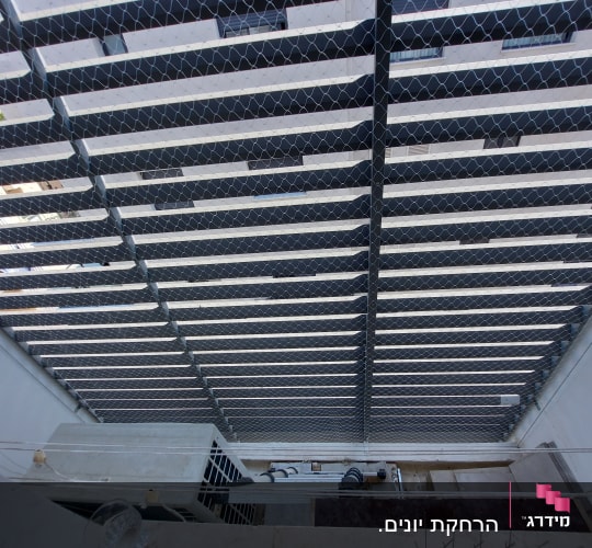 רשת מתכת מותקנת למניעת כניסת יונים